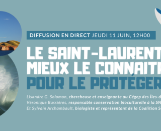Conférence en direct: Le Saint-Laurent, mieux le connaitre pour le protéger